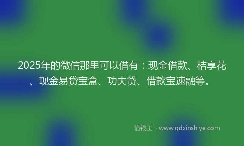 2025年的微信那里可以借有：现金借款、桔享花、现金易贷宝盒、功夫贷、借款宝速融等。