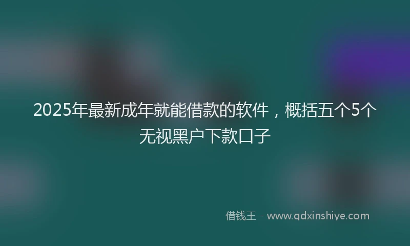 2025年最新成年就能借款的软件，概括五个5个无视黑户下款口子