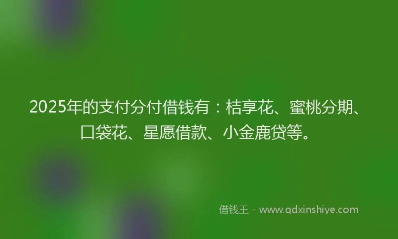 2025年的支付分付借钱有：桔享花、蜜桃分期、口袋花、星愿借款、小金鹿贷等。