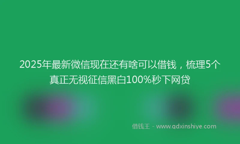 2025年最新微信现在还有啥可以借钱，梳理5个真正无视征信黑白100%秒下网贷