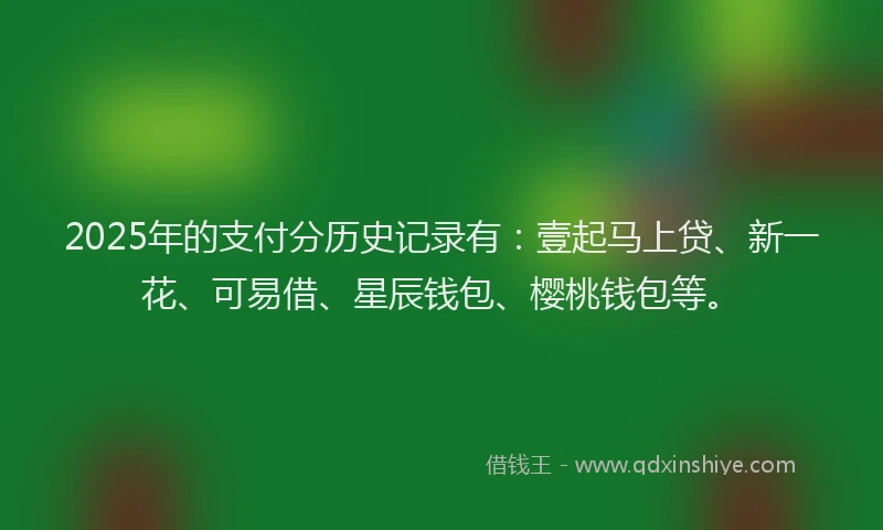 2025年的支付分历史记录有：壹起马上贷、新一花、可易借、星辰钱包、樱桃钱包等。