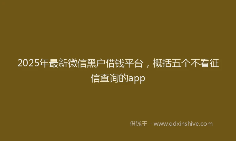 2025年最新微信黑户借钱平台，概括五个不看征信查询的app