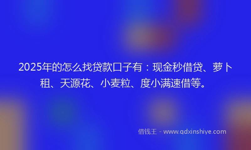 2025年的怎么找贷款口子有：现金秒借贷、萝卜租、天源花、小麦粒、度小满速借等。