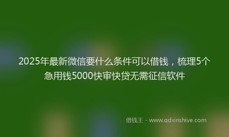 2025年最新微信要什么条件可以借钱，梳理5个急用钱5000快审快贷无需征信软件
