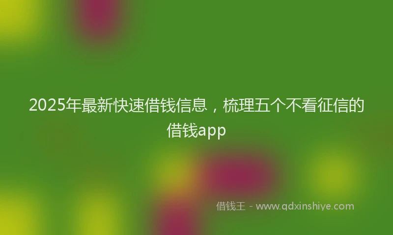 2025年最新快速借钱信息，梳理五个不看征信的借钱app