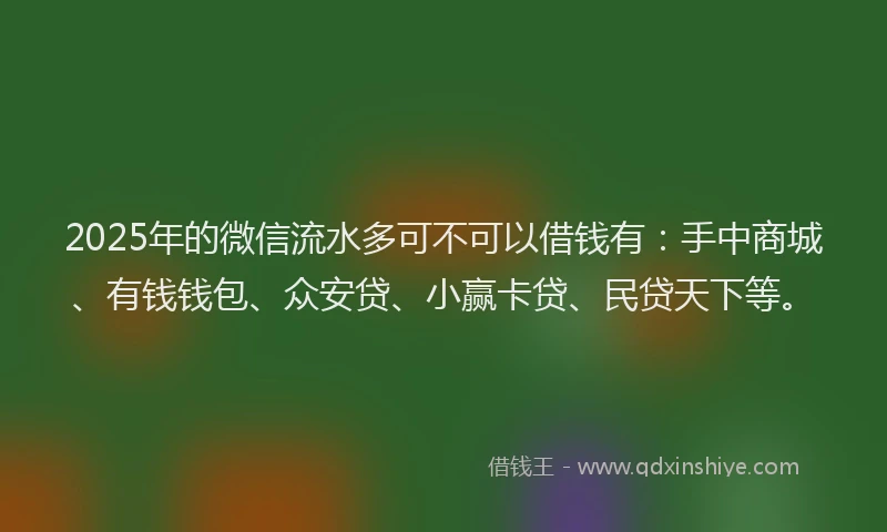 2025年的微信流水多可不可以借钱有：手中商城、有钱钱包、众安贷、小赢卡贷、民贷天下等。