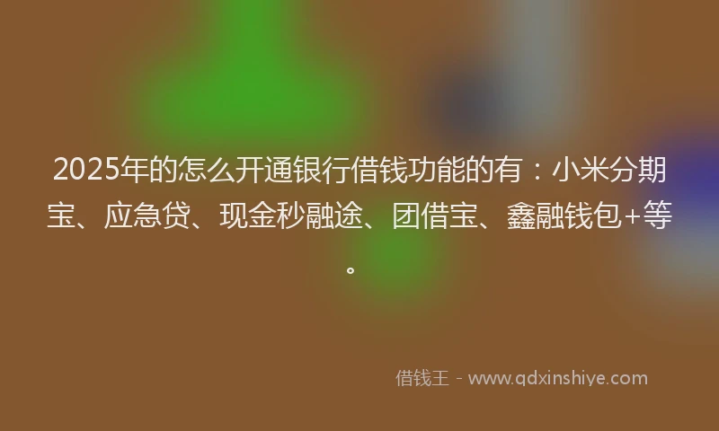 2025年的怎么开通银行借钱功能的有：小米分期宝、应急贷、现金秒融途、团借宝、鑫融钱包+等。