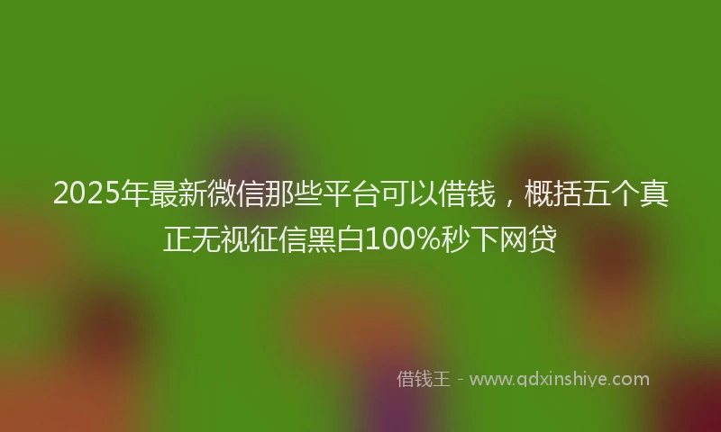 2025年最新微信那些平台可以借钱，概括五个真正无视征信黑白100%秒下网贷