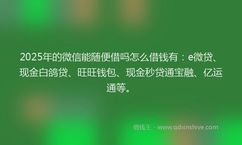 2025年的微信能随便借吗怎么借钱有：e微贷、现金白鸽贷、旺旺钱包、现金秒贷通宝融、亿运通等。