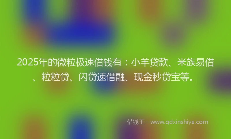 2025年的微粒极速借钱有：小羊贷款、米族易借、粒粒贷、闪贷速借融、现金秒贷宝等。