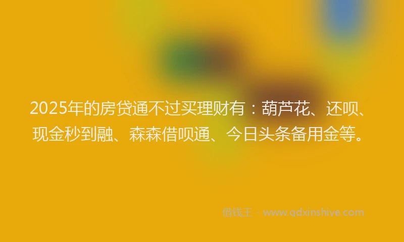 2025年的房贷通不过买理财有：葫芦花、还呗、现金秒到融、森森借呗通、今日头条备用金等。