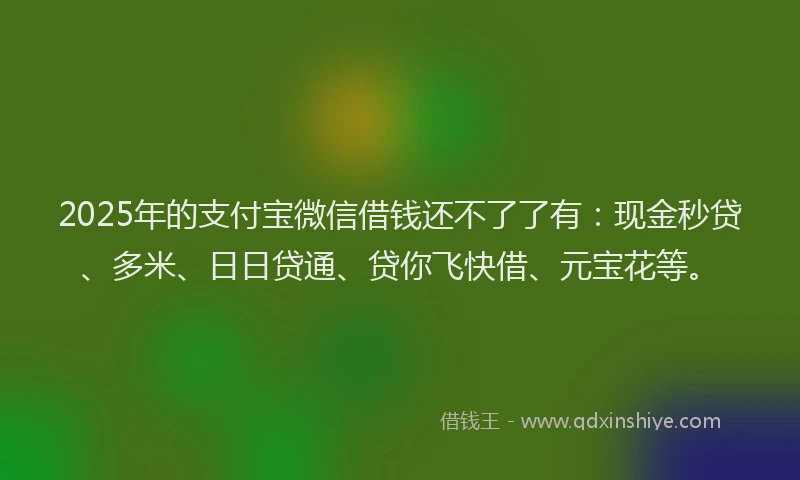 2025年的支付宝微信借钱还不了了有：现金秒贷、多米、日日贷通、贷你飞快借、元宝花等。