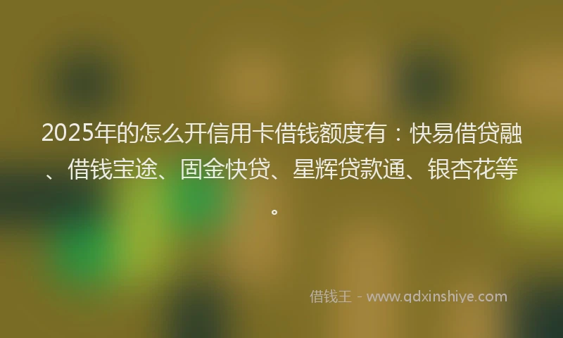 2025年的怎么开信用卡借钱额度有：快易借贷融、借钱宝途、固金快贷、星辉贷款通、银杏花等。
