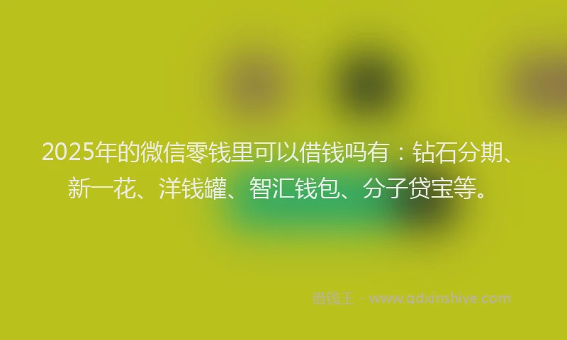 2025年的微信零钱里可以借钱吗有：钻石分期、新一花、洋钱罐、智汇钱包、分子贷宝等。