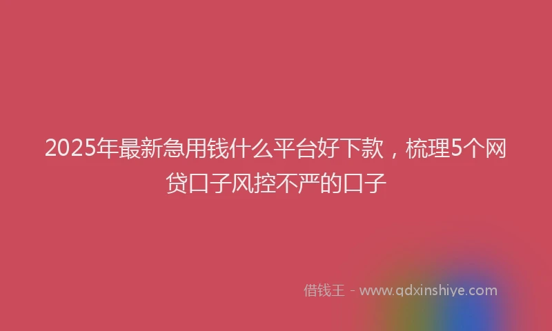 2025年最新急用钱什么平台好下款，梳理5个网贷口子风控不严的口子