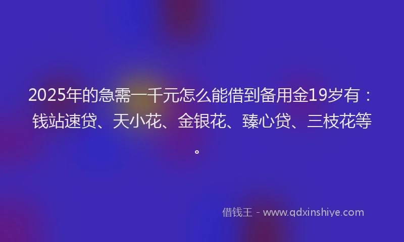 2025年的急需一千元怎么能借到备用金19岁有：钱站速贷、天小花、金银花、臻心贷、三枝花等。