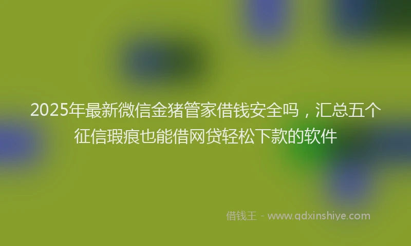2025年最新微信金猪管家借钱安全吗，汇总五个征信瑕疵也能借网贷轻松下款的软件