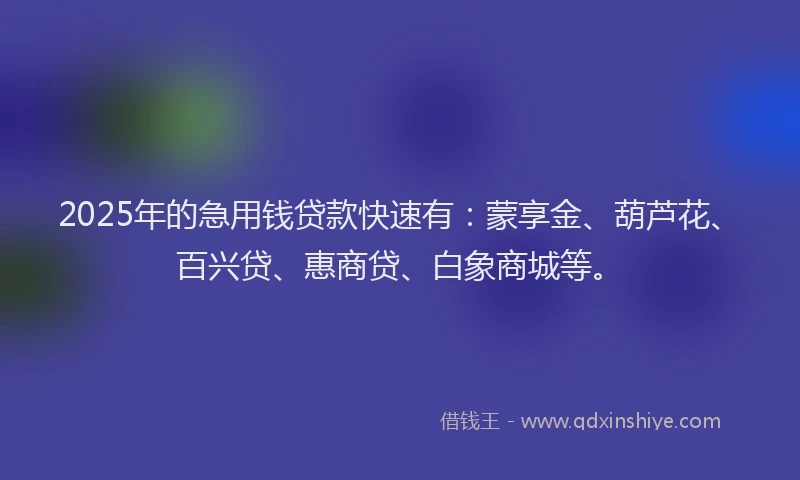 2025年的急用钱贷款快速有：蒙享金、葫芦花、百兴贷、惠商贷、白象商城等。