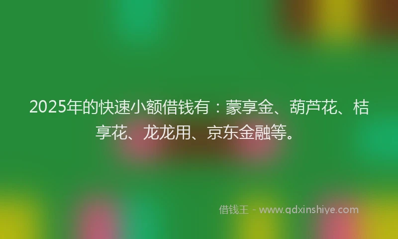 2025年的快速小额借钱有：蒙享金、葫芦花、桔享花、龙龙用、京东金融等。