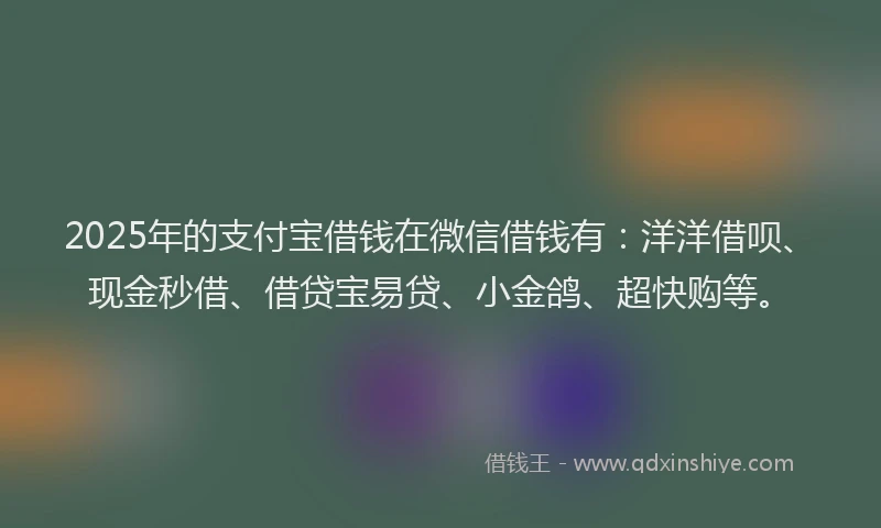 2025年的支付宝借钱在微信借钱有：洋洋借呗、现金秒借、借贷宝易贷、小金鸽、超快购等。