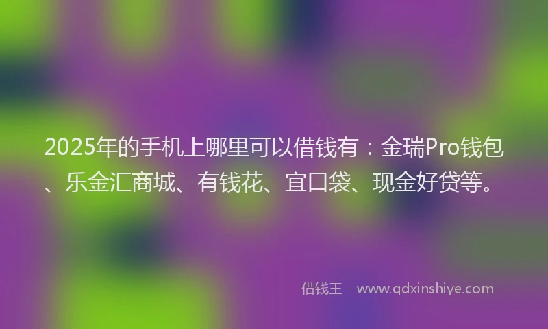 2025年的手机上哪里可以借钱有：金瑞Pro钱包、乐金汇商城、有钱花、宜口袋、现金好贷等。