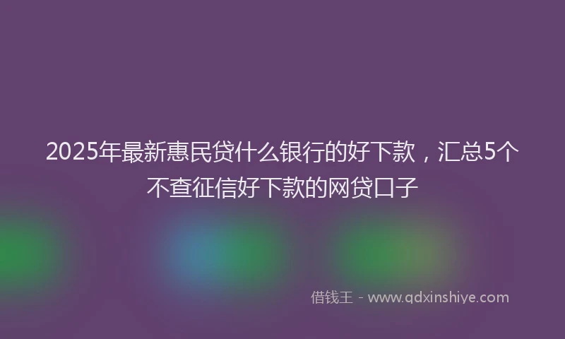 2025年最新惠民贷什么银行的好下款，汇总5个不查征信好下款的网贷口子