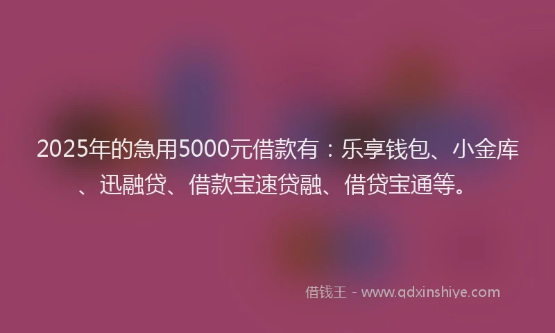 2025年的急用5000元借款有：乐享钱包、小金库、迅融贷、借款宝速贷融、借贷宝通等。