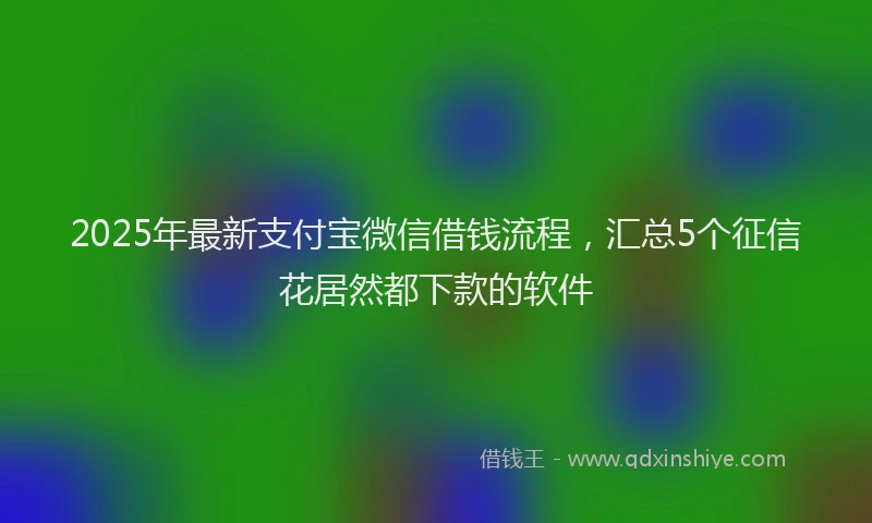 2025年最新支付宝微信借钱流程，汇总5个征信花居然都下款的软件