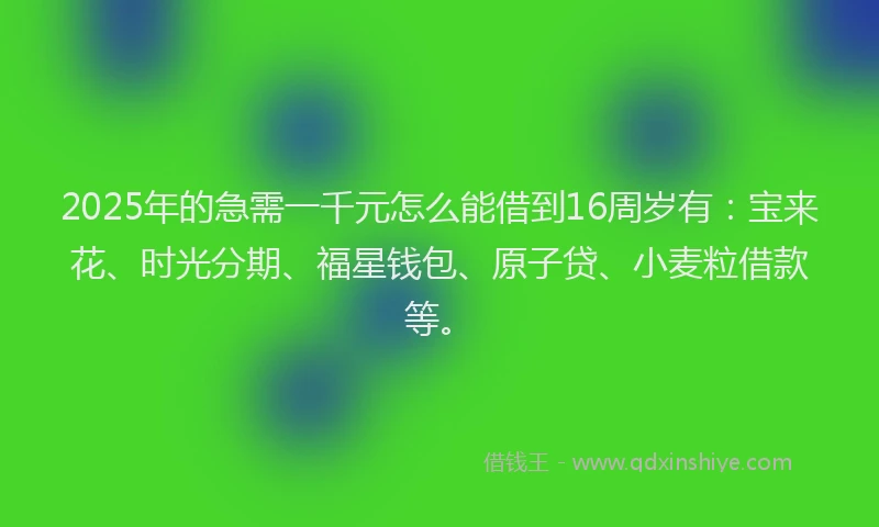 2025年的急需一千元怎么能借到16周岁有：宝来花、时光分期、福星钱包、原子贷、小麦粒借款等。