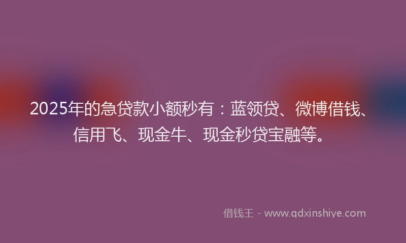 2025年的急贷款小额秒有：蓝领贷、微博借钱、信用飞、现金牛、现金秒贷宝融等。