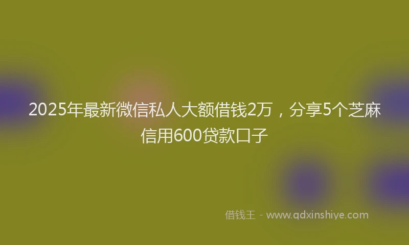 2025年最新微信私人大额借钱2万，分享5个芝麻信用600贷款口子