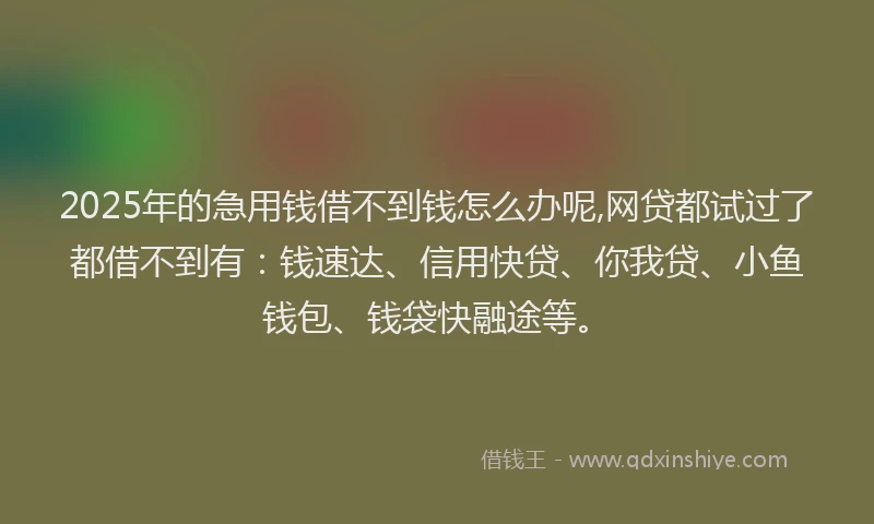2025年的急用钱借不到钱怎么办呢,网贷都试过了都借不到有：钱速达、信用快贷、你我贷、小鱼钱包、钱袋快融途等。
