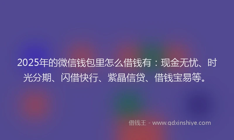 2025年的微信钱包里怎么借钱有：现金无忧、时光分期、闪借快行、紫晶信贷、借钱宝易等。