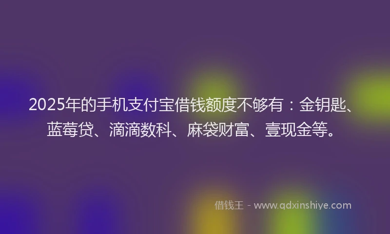 2025年的手机支付宝借钱额度不够有：金钥匙、蓝莓贷、滴滴数科、麻袋财富、壹现金等。