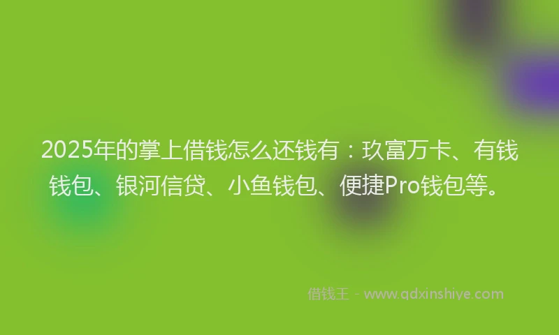 2025年的掌上借钱怎么还钱有：玖富万卡、有钱钱包、银河信贷、小鱼钱包、便捷Pro钱包等。