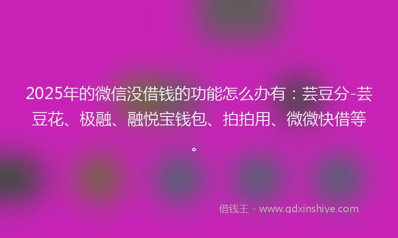 2025年的微信没借钱的功能怎么办有：芸豆分-芸豆花、极融、融悦宝钱包、拍拍用、微微快借等。