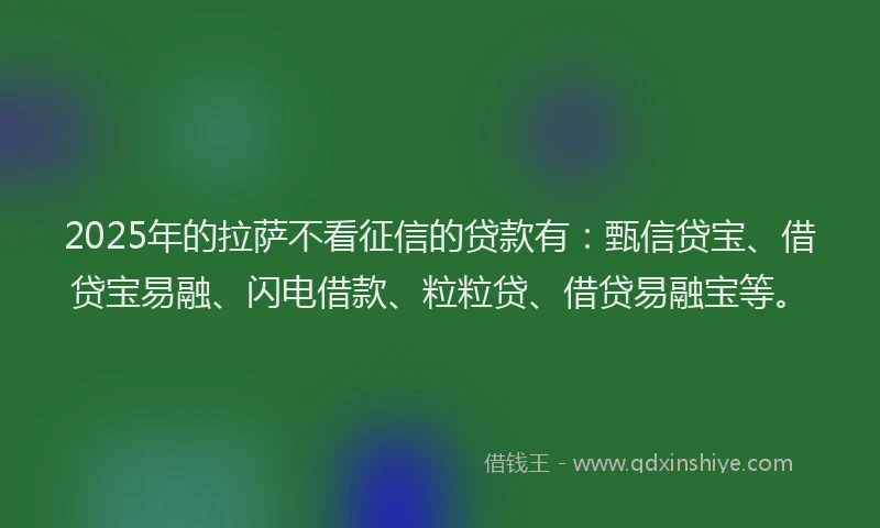 2025年的拉萨不看征信的贷款有：甄信贷宝、借贷宝易融、闪电借款、粒粒贷、借贷易融宝等。