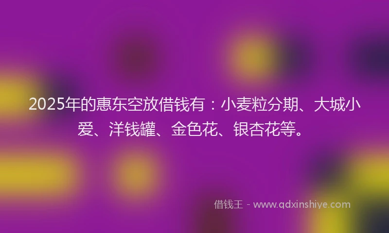 2025年的惠东空放借钱有：小麦粒分期、大城小爱、洋钱罐、金色花、银杏花等。