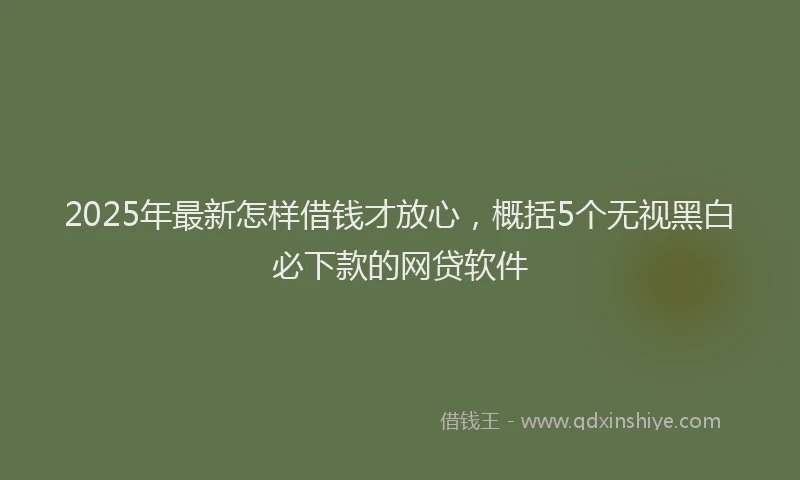 2025年最新怎样借钱才放心，概括5个无视黑白必下款的网贷软件