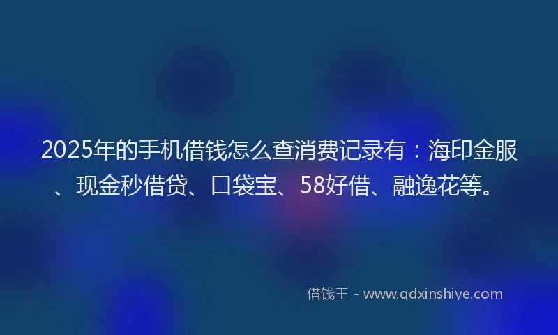 2025年的手机借钱怎么查消费记录有：海印金服、现金秒借贷、口袋宝、58好借、融逸花等。