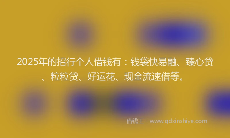 2025年的招行个人借钱有：钱袋快易融、臻心贷、粒粒贷、好运花、现金流速借等。