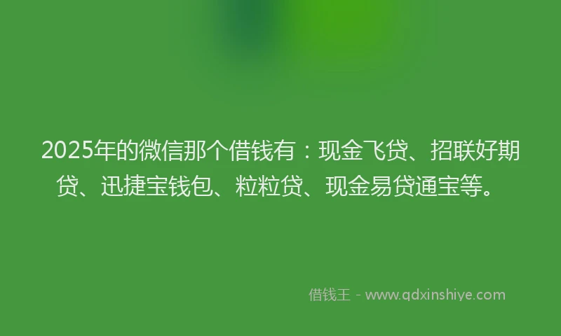 2025年的微信那个借钱有：现金飞贷、招联好期贷、迅捷宝钱包、粒粒贷、现金易贷通宝等。