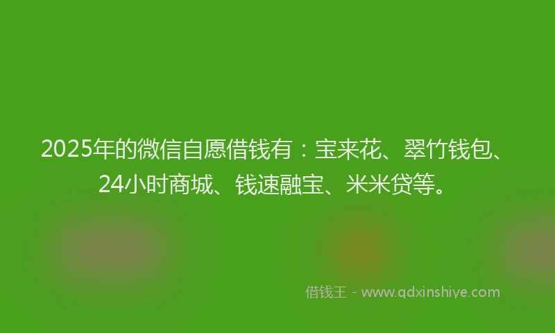 2025年的微信自愿借钱有：宝来花、翠竹钱包、24小时商城、钱速融宝、米米贷等。