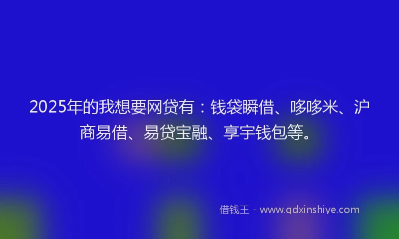 2025年的我想要网贷有：钱袋瞬借、哆哆米、沪商易借、易贷宝融、享宇钱包等。