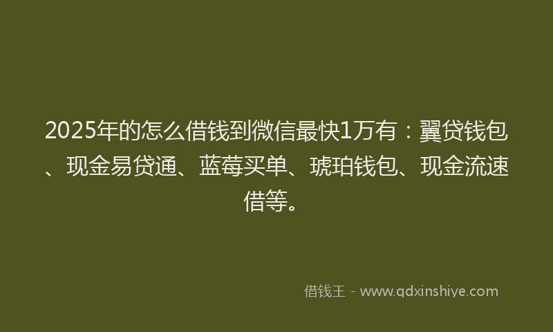 2025年的怎么借钱到微信最快1万有：翼贷钱包、现金易贷通、蓝莓买单、琥珀钱包、现金流速借等。