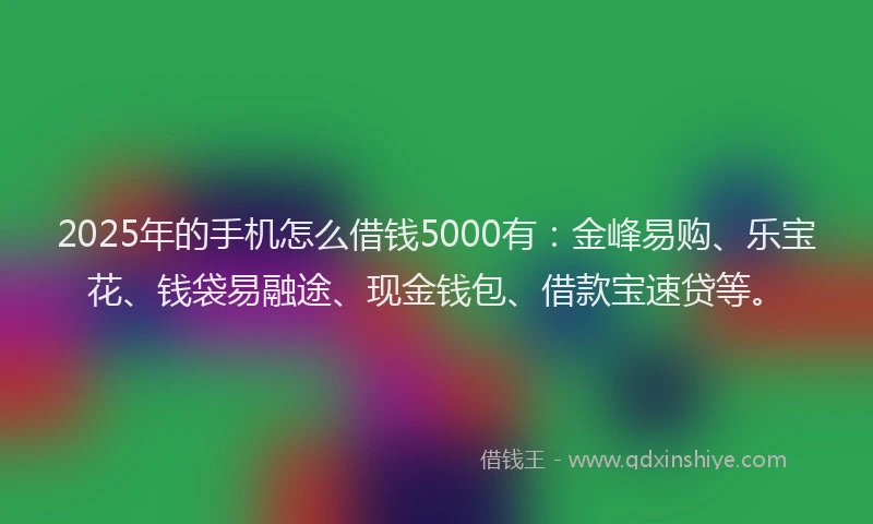 2025年的手机怎么借钱5000有：金峰易购、乐宝花、钱袋易融途、现金钱包、借款宝速贷等。