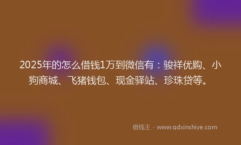 2025年的怎么借钱1万到微信有：骏祥优购、小狗商城、飞猪钱包、现金驿站、珍珠贷等。
