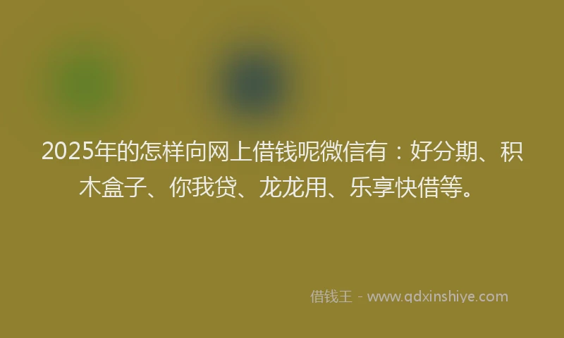 2025年的怎样向网上借钱呢微信有：好分期、积木盒子、你我贷、龙龙用、乐享快借等。