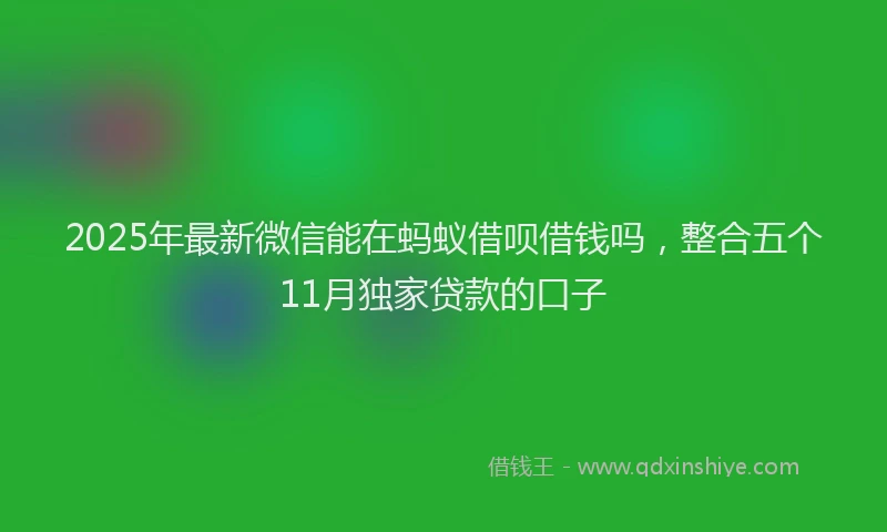 2025年最新微信能在蚂蚁借呗借钱吗，整合五个11月独家贷款的口子