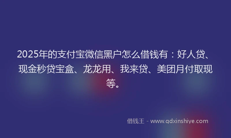 2025年的支付宝微信黑户怎么借钱有：好人贷、现金秒贷宝盒、龙龙用、我来贷、美团月付取现等。